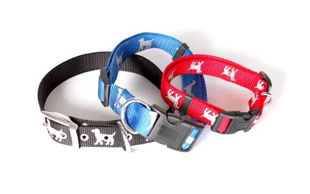 dropship-pet-supplies