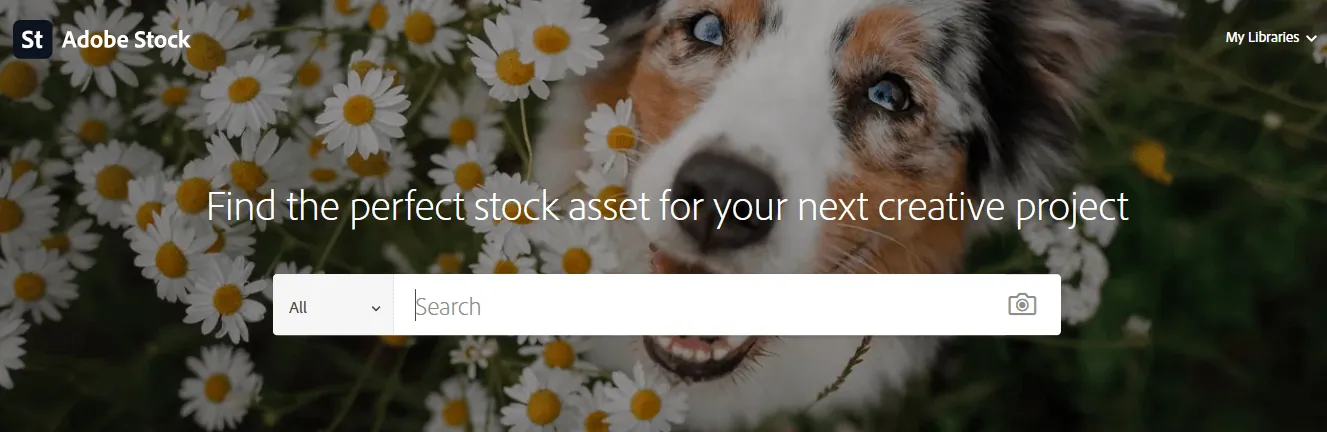 How to Sell Photos Online: Easily Earn $125+ per Image in 2021