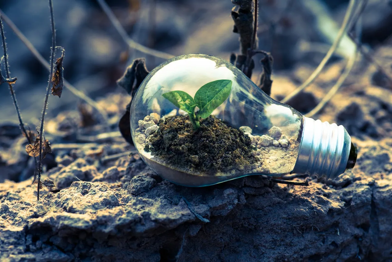 Business Growth Through Mobile Apps