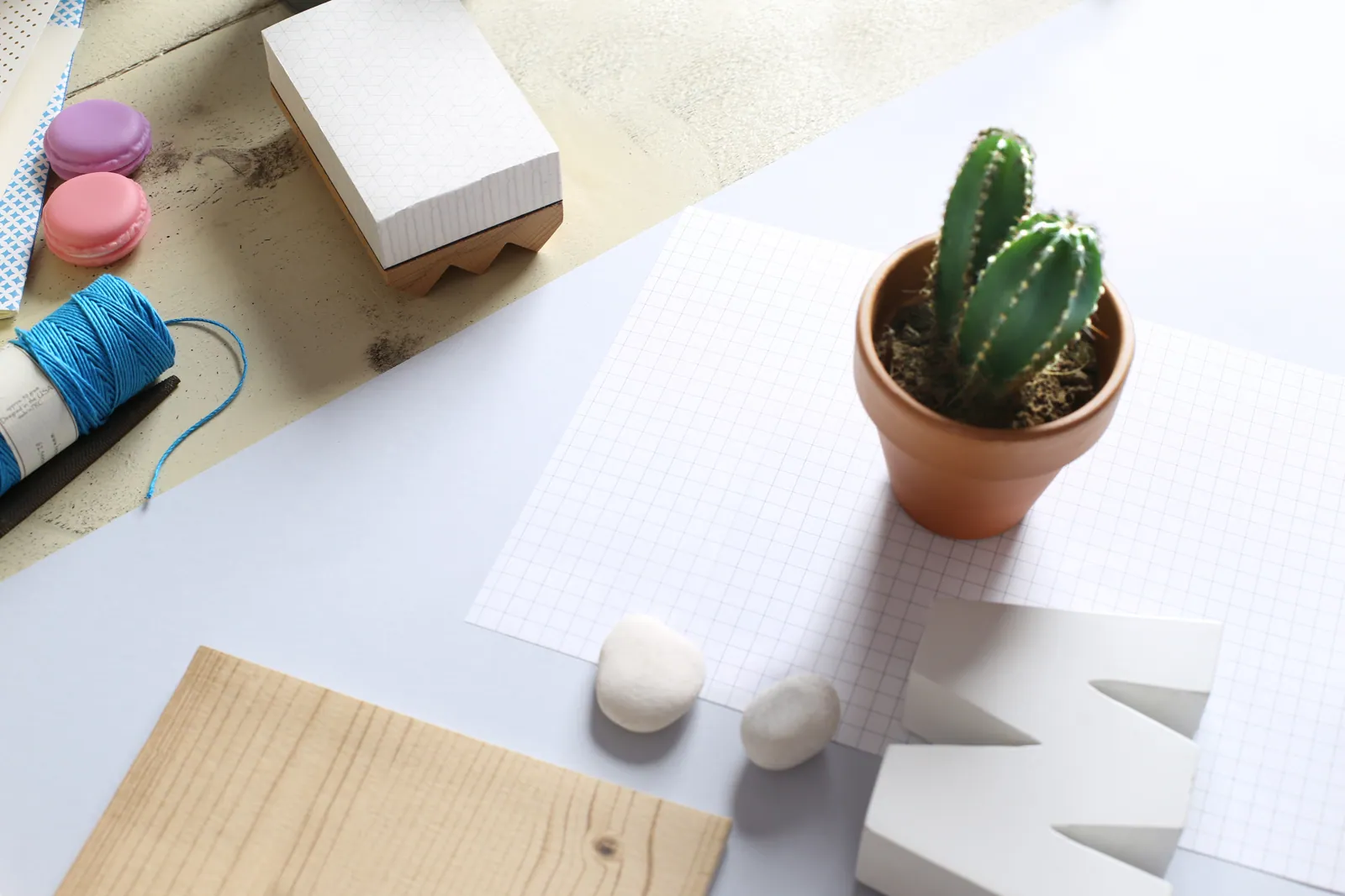 dropshipping-plant-products